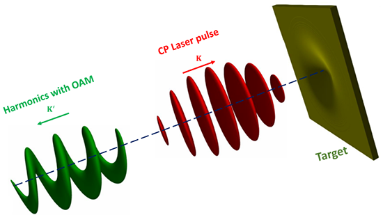 图1 圆偏振光转化为涡旋光原理图